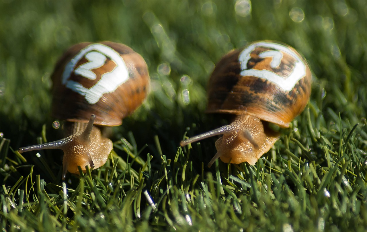 Two numbered snails race across grass, illustrating the need to balance AGI development speed with safeguards