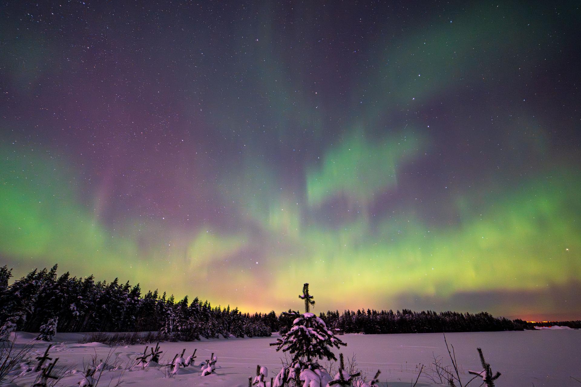 Northern Lights Over Finnish Forest Amid AI Expansion Vibrant Northern Lights illuminate snowy Finnish forest, reflecting environmental beauty amid AI expansion concerns